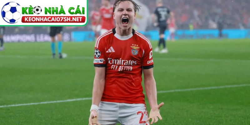 Cúp C1 chấn động: Benfica quật ngã Real Madrid, Mourinho bùng nổ cảm xúc phút 90+8 3 Schjelderup thăng hoa, Real Madrid tự đánh mất mình