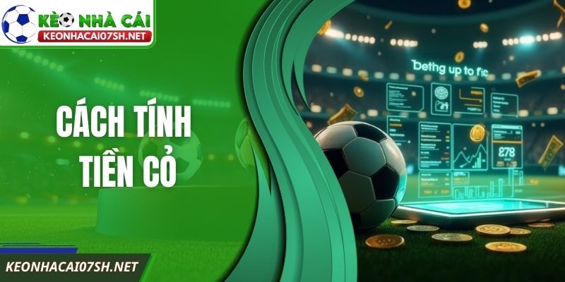 Cách Tính Tiền Cỏ Trong Cá Cược Bóng Đá Chi Tiết Dễ Hiểu