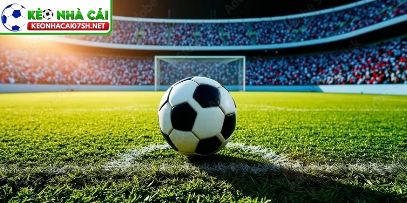 Kèo Phạt Góc 3 Chiều - Cách Chơi Dễ Hiểu Cho Người Mới 3 Thông số hiển thị chuẩn trên hệ thống cá cược